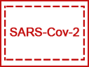 WAŻNE INFORMACJE / VITAL ANNOUNCEMENT SARS-Cov-2